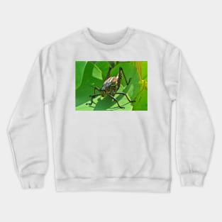 Lubber Grasshopper Crewneck Sweatshirt